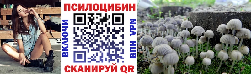 Псилоцибиновые грибы прущие грибы  купить  цена  Долинск 